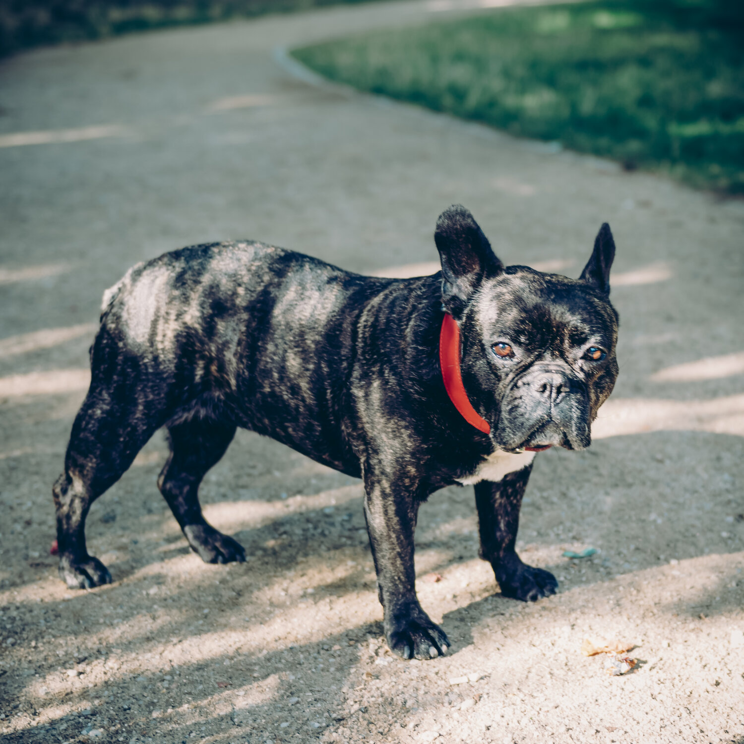 0009_Spreekind-Fotografie_AbschiedsfeierNobert260722