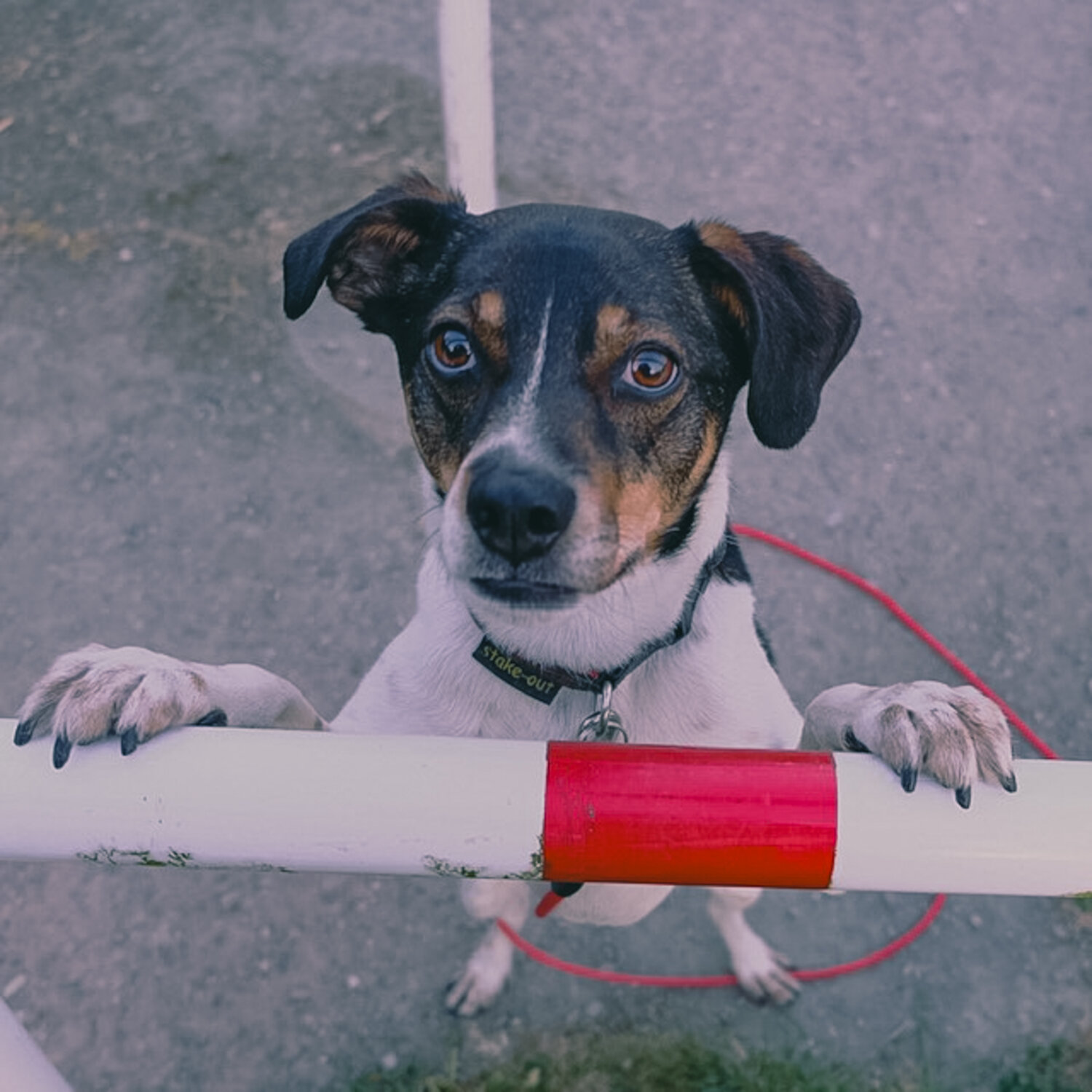 DC765E2F-06F3-4FBF-B7EA-26C7263076EB-1849-0000023053812AD5