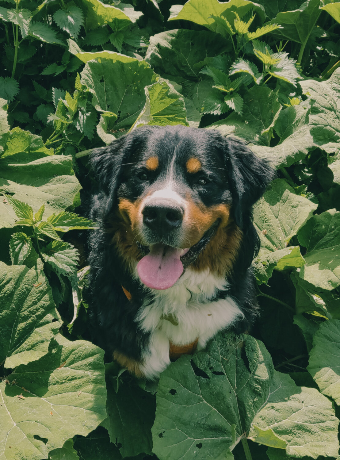 IMG_20220512_155012~2