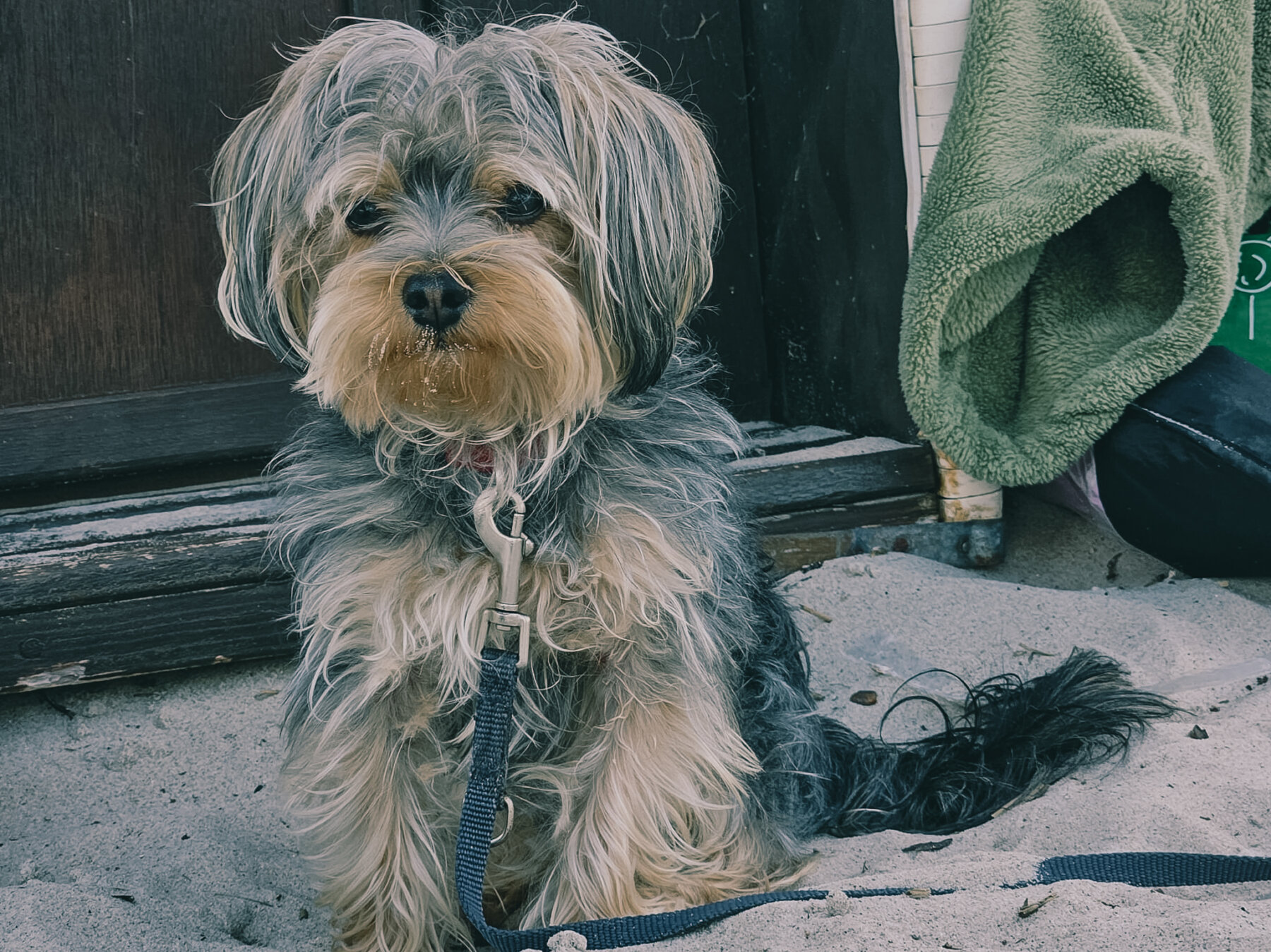 PHOTO-2025-10-16-12-36-45