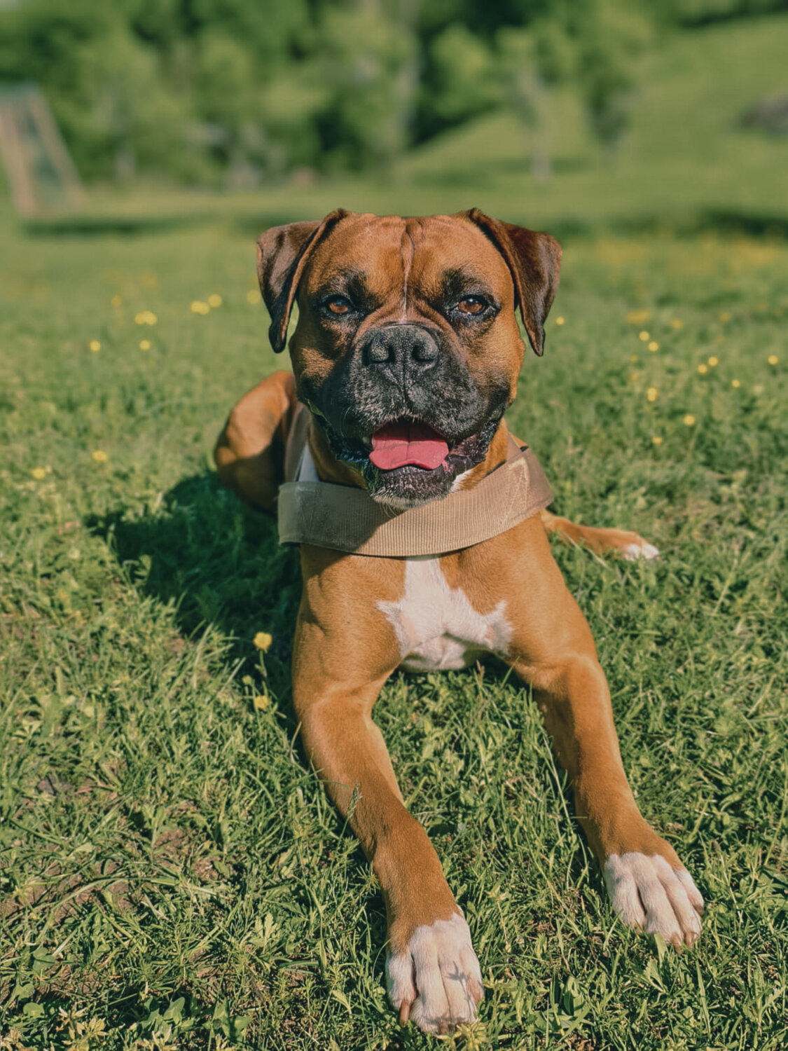 PHOTO-2025-10-18-21-50-02