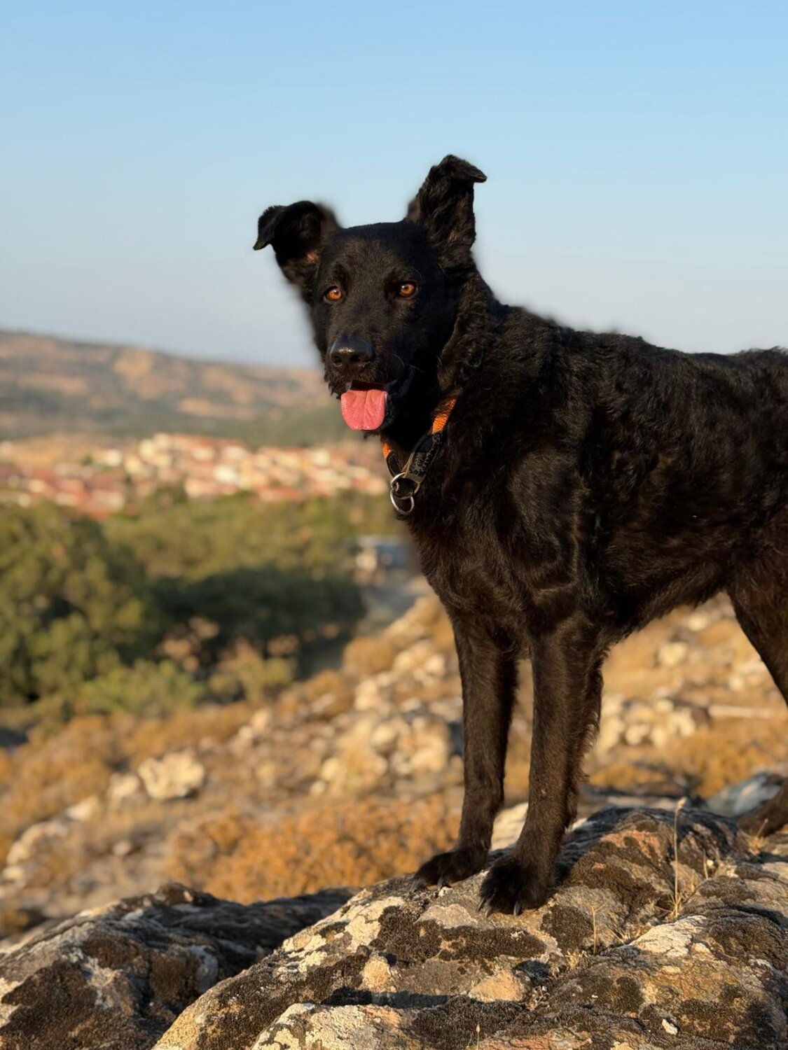 PHOTO-2025-10-22-09-44-41 3