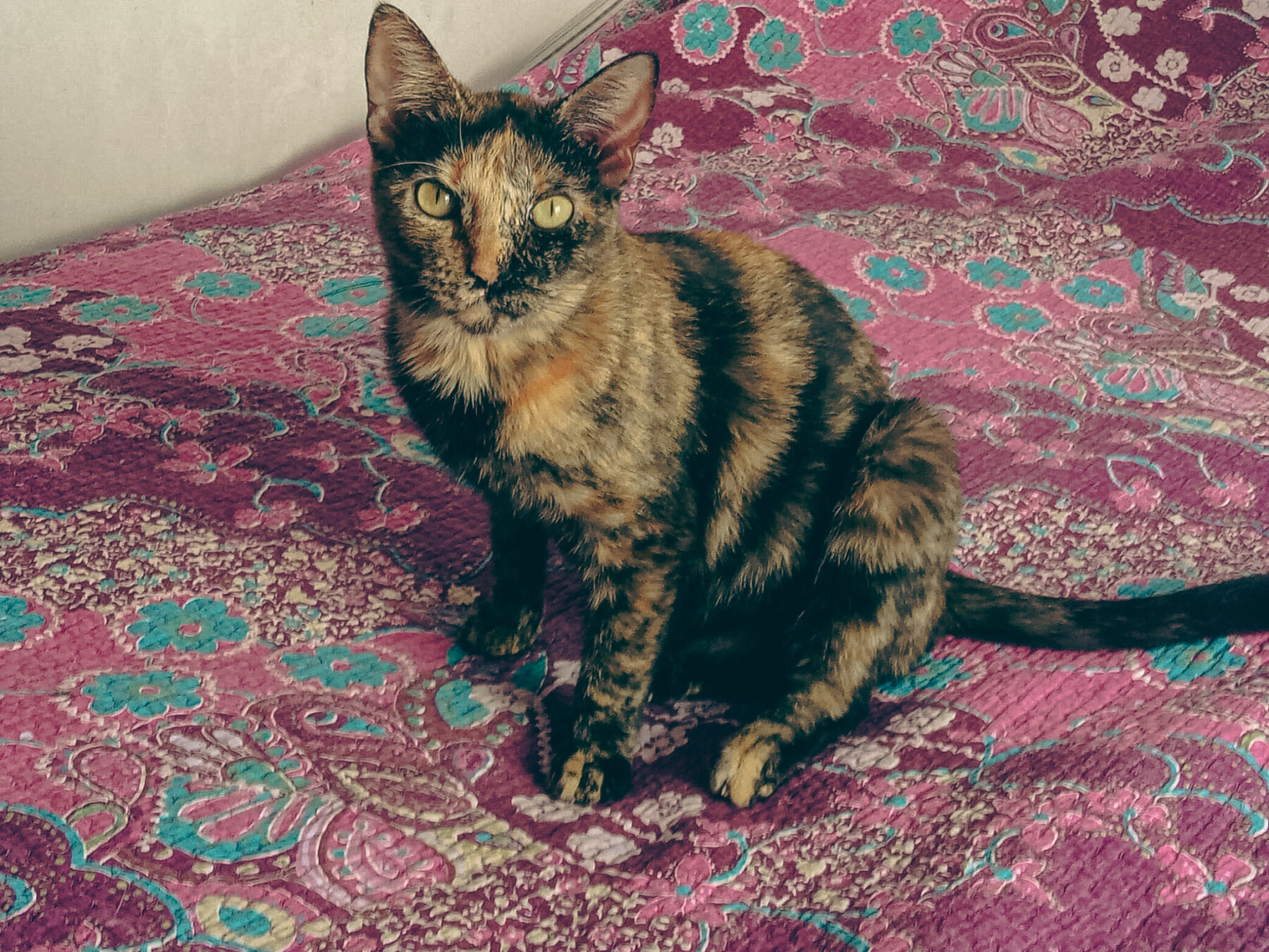 WhatsApp Image 2025-10-20 at 11.42.01 Kopie