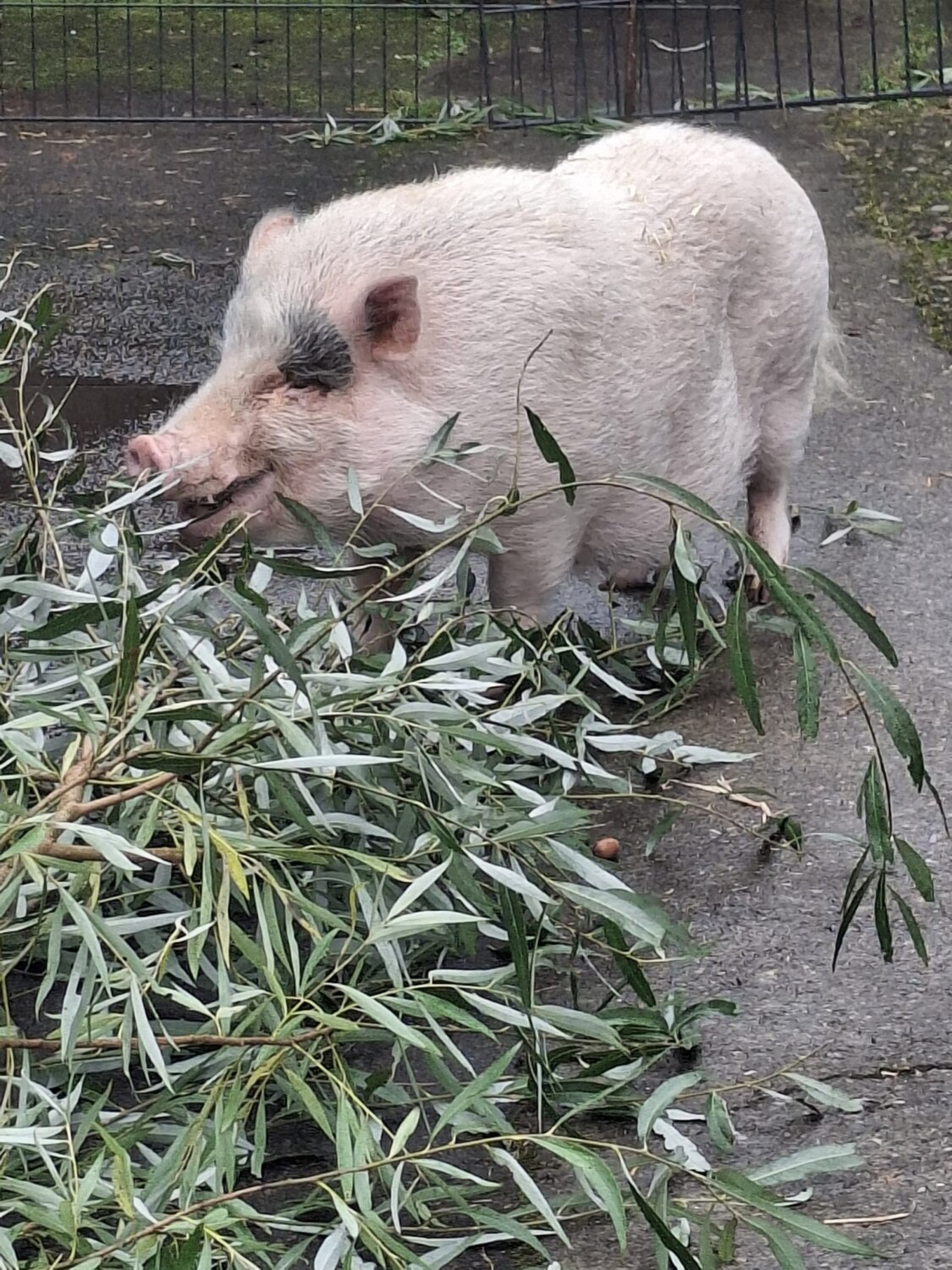 WhatsApp Image 2025-10-23 at 10.51.45